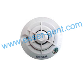 �����¸л���̽������981271��